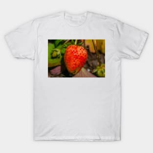 Strawberry T-Shirt